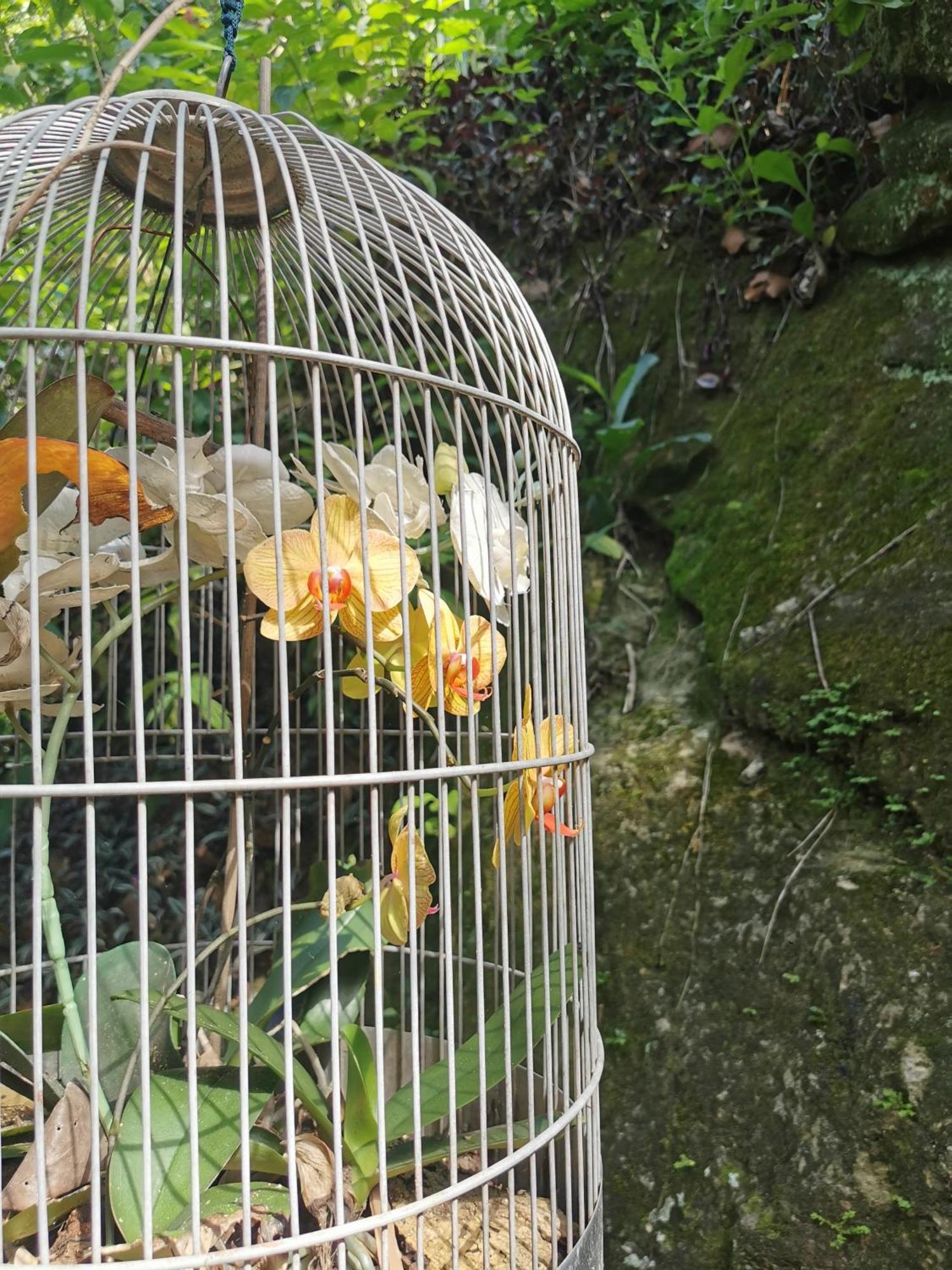 Soul Rebel Rio - Vegan Retreat Appartamento Rio de Janeiro